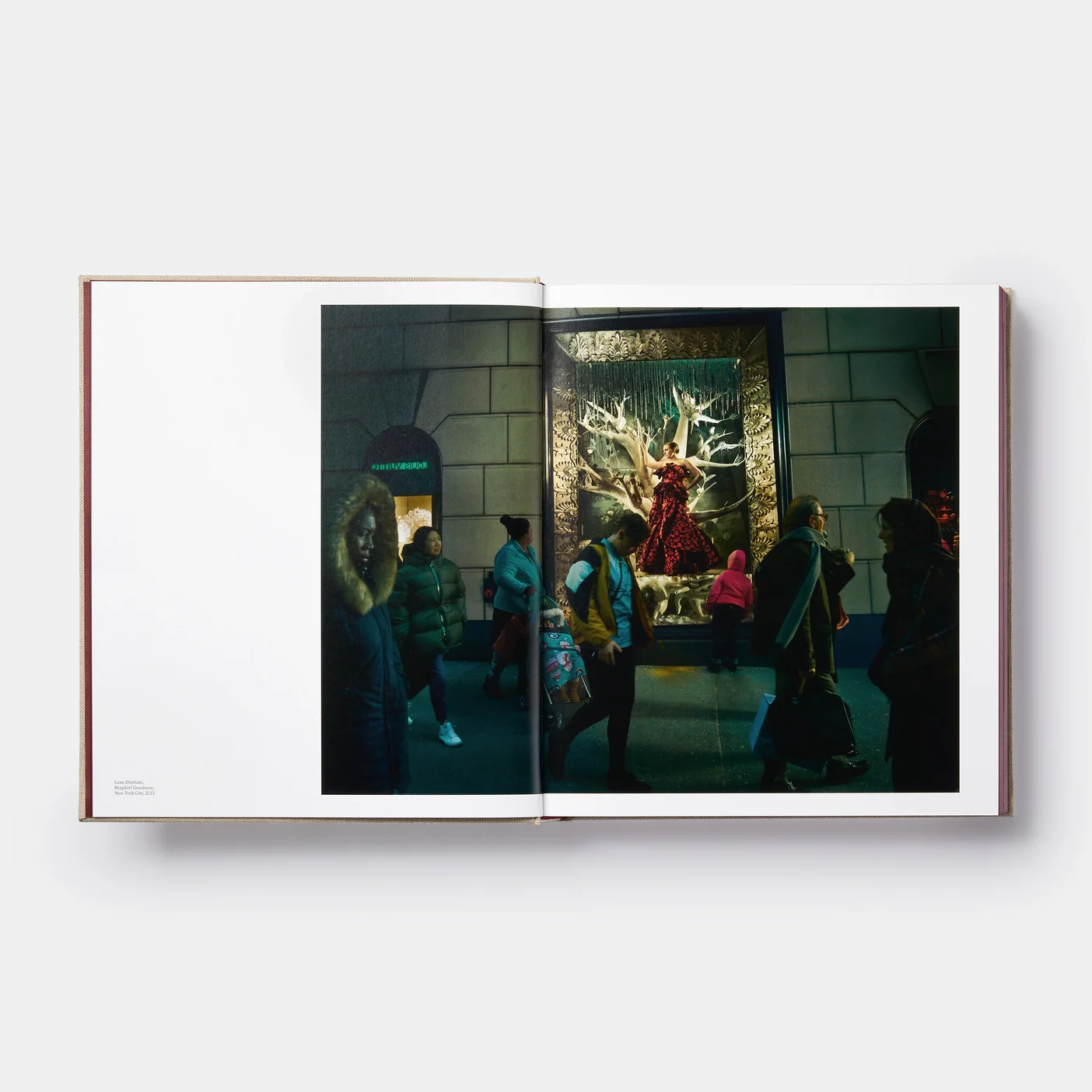 Wonderland - Image 5